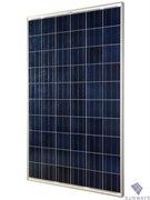 Солнечный модуль Sunways ФСМ-260П